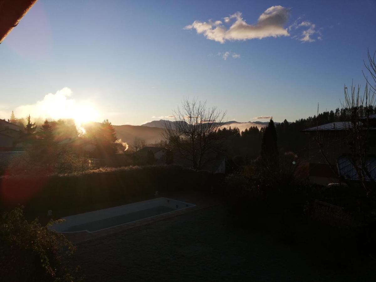 Ferienwohnung Mit Pool In Woerthersee Naehe Dellach  Екстер'єр фото