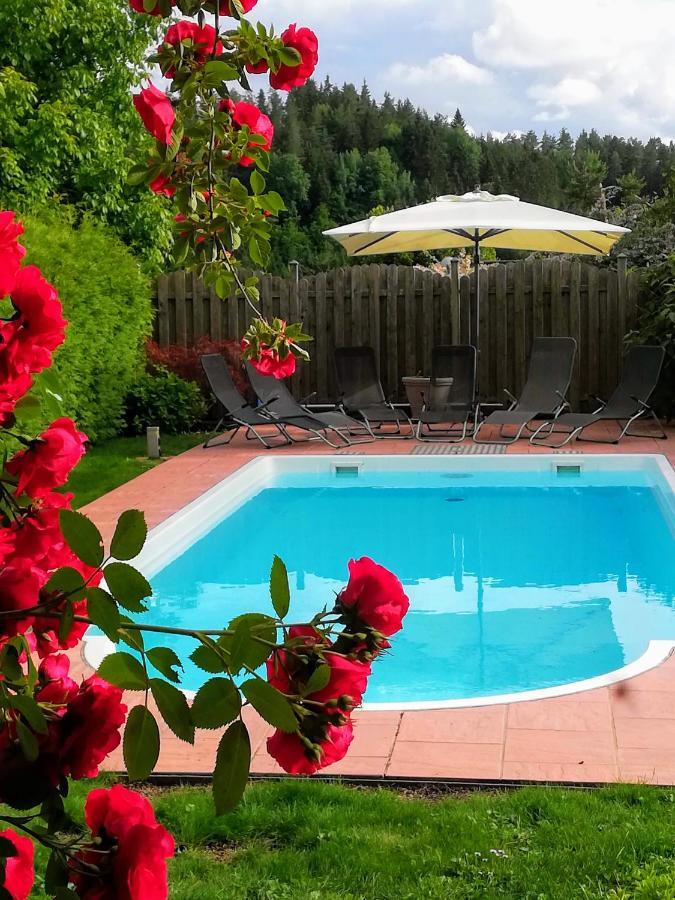 Ferienwohnung Mit Pool In Woerthersee Naehe Dellach  Екстер'єр фото